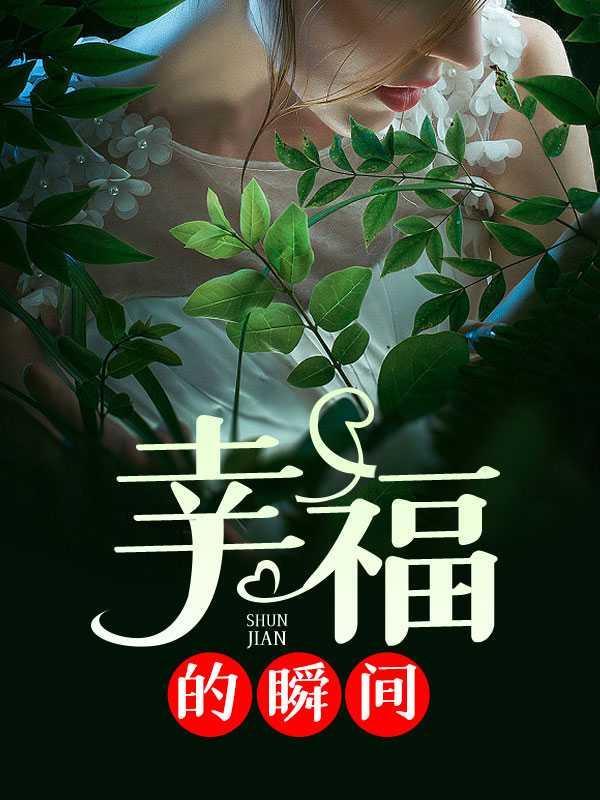 幸福的瞬间 歌词