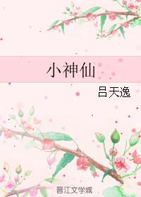 小神仙歌词
