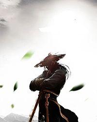 综武侠万人迷男神