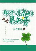 那个漂亮的男知青讲什么