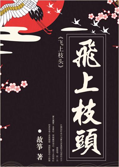 飞上枝头变凤凰的女人