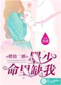 墨少燃情