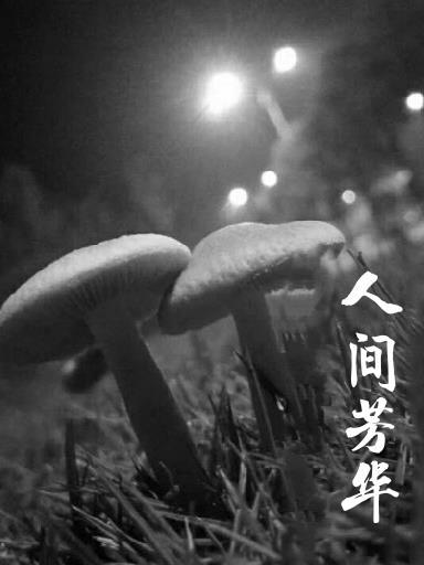 人间什么芳菲尽下一句是什么