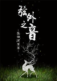 弦外之音还是弦外知音