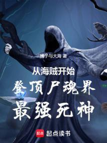 从海贼开始登顶尸魂界最强死神完整